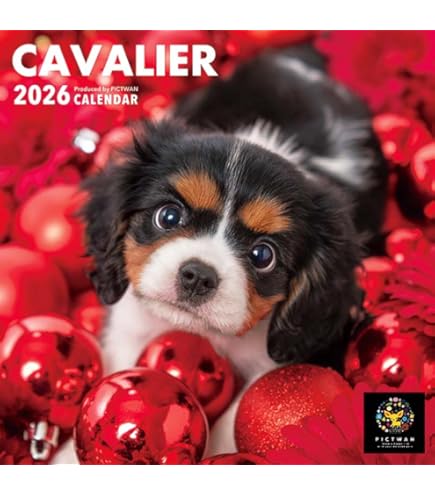 Amazon | THE DOG カレンダー 2026 壁掛け 大判サイズ [キャバリア